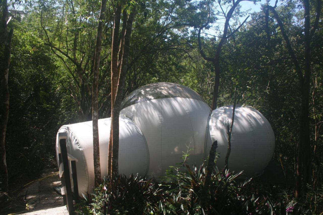 Hotel MAISONS BULLES Deluxe à Bouillante Extérieur photo